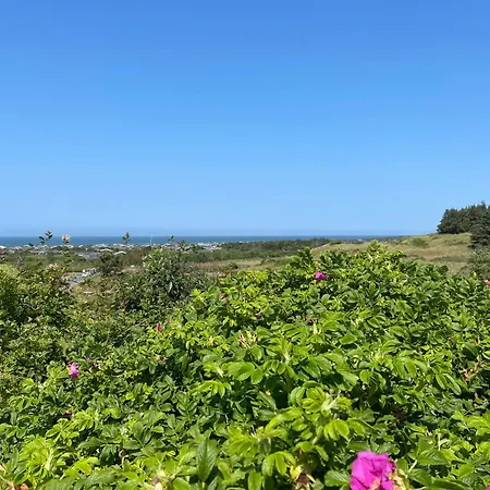 펜션 70s Hilltop Summer House In Skallerup Klit 히링